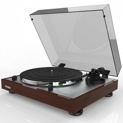 Thorens TD 402 DD Walnut цена и информация | Проигрыватели для пластинок, патефоны | pigu.lt