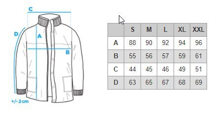 Klasikinis vyriškas paltas Ombre C499, juodos spalvos kaina ir informacija | Vyriški paltai  | pigu.lt