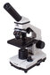 Levenhuk Rainbow 2L PLUs цена и информация | Teleskopai ir mikroskopai | pigu.lt