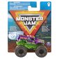 Automobilis Monster Jam kaina ir informacija | Žaislai berniukams | pigu.lt