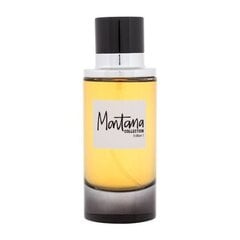 Мужская туалетная вода Claude Montana Collection Edition 1 EDP, 100 мл  цена и информация | Мужские духи | pigu.lt