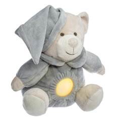 Детский ночной светодиодный светильник - Плюшевый мишка Тедди цена и информация | Игрушки для малышей | pigu.lt