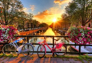 Medinė dėlionė Amsterdamo dviračiai, 300 vnt. kaina ir informacija | Stalo žaidimai, galvosūkiai | pigu.lt
