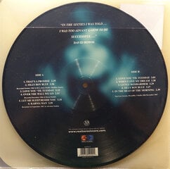 Виниловая пластинка David Bowie - In The Beginning, Picture Disc, LP, 12" vinyl record цена и информация | Виниловые пластинки, CD, DVD | pigu.lt