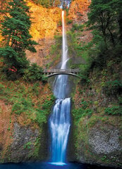 Dėlionė Eurographics, 6000-0546, Multnomah Falls, Oregon, 1000 d. kaina ir informacija | Dėlionės (puzzle) | pigu.lt