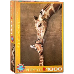 Dėlionė Eurographics, 6000-0301, Giraffe Mother’s Kiss, 1000 d. kaina ir informacija | Dėlionės (puzzle) | pigu.lt