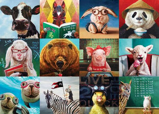 Dėlionė Eurographics, 6000-5524, Funny Animals, 1000 d. kaina ir informacija | Dėlionės (puzzle) | pigu.lt