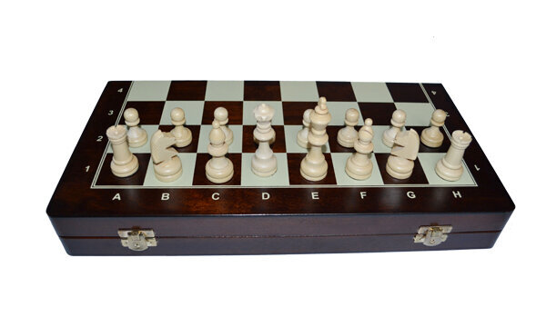 Turnyriniai šachmatai Nr. 5, 47x47 cm kaina ir informacija | Stalo žaidimai, galvosūkiai | pigu.lt