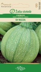 Кабачки Di Nizza, 2 г цена и информация | Семена овощей, ягод | pigu.lt