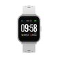 Denver SW-164 White цена и информация | Išmanieji laikrodžiai (smartwatch) | pigu.lt