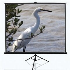 Elite Screens T120NWV1 (243 x 182 cm) цена и информация | Экраны для проекторов | pigu.lt