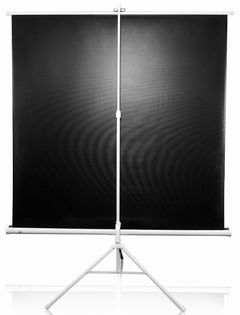 Elite Screens T120NWV1 (243 x 182 cm) kaina ir informacija | Projektorių ekranai | pigu.lt