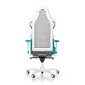 Ergonominė kėdė DXRACER Air Series R1S-WQG, balta/žydra kaina ir informacija | Biuro kėdės | pigu.lt