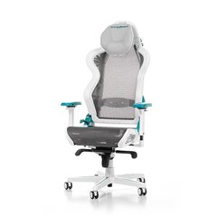 Игровое кресло DXRacer AIR R1S-WQG, белое/серое/синие цена и информация | Офисные кресла | pigu.lt
