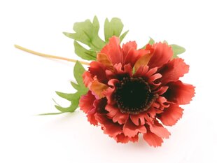 Anemono šakelė kaina ir informacija | Dirbtinės gėlės | pigu.lt