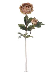 Vėdrynų šakelė kaina ir informacija | Dirbtinės gėlės | pigu.lt