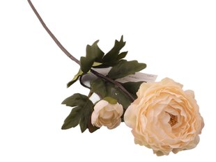 Vėdrynų šakelė kaina ir informacija | Dirbtinės gėlės | pigu.lt