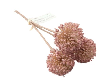 Globe thistle цена и информация | Искусственные цветы | pigu.lt