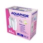 Aquaphor A5Mg, 2 vnt. kaina ir informacija | Vandens filtrai | pigu.lt