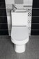 Kompaktiškas klozetas su praustuvu Hygie 36,5 x 78 x 72 cm + soft-close sėdynė, universalus nutekėjimas: vertikalus arba horizontalus kaina ir informacija | Klozetai | pigu.lt