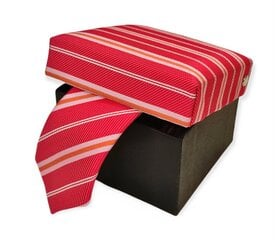 Siauras kaklaraištis vyrams G.Lehmann kaina ir informacija | Kaklaraiščiai, peteliškės | pigu.lt