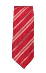 Siauras kaklaraištis vyrams G.Lehmann kaina ir informacija | Kaklaraiščiai, peteliškės | pigu.lt