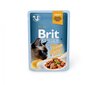 Brit Premium Fillets in Gravy tuna konservai katėms ,24x85 g kaina ir informacija | Konservai katėms | pigu.lt