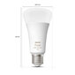 LED lemputė Philips 929002216801 цена и информация | Elektros lemputės | pigu.lt