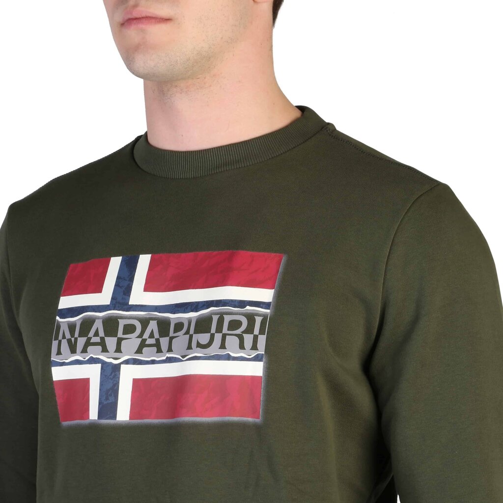 Džemperis vyrams Napapijri, žalias цена и информация | Džemperiai vyrams | pigu.lt
