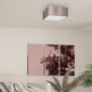Milagro lubinis šviestuvas Ziggy Pink kaina ir informacija | Lubiniai šviestuvai | pigu.lt