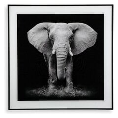 Paveikslas Elephant, 2 x 50 x 50 cm kaina ir informacija | Reprodukcijos, paveikslai | pigu.lt
