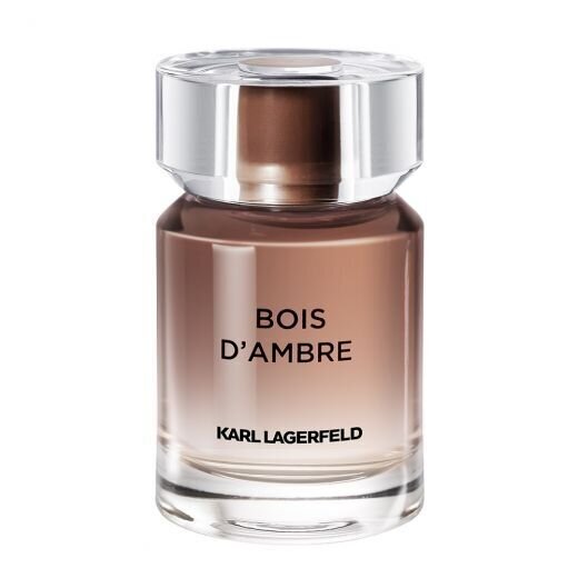 Karl Lagerfeld Bois d'Ambre EDT 50ml kaina ir informacija | Kvepalai vyrams | pigu.lt