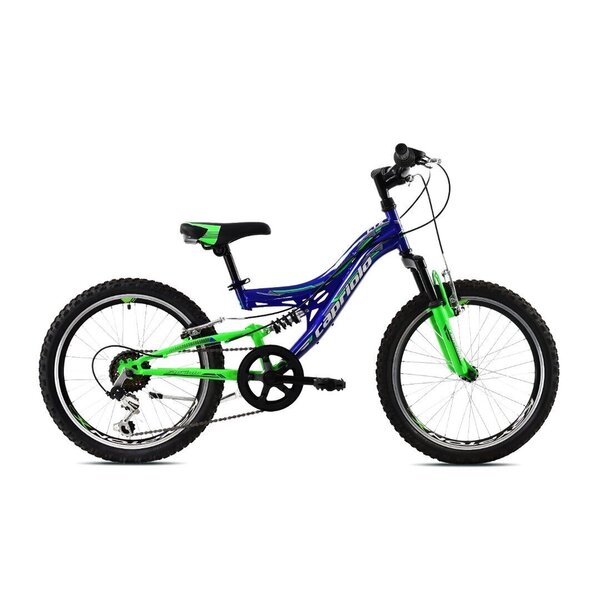 Dviratis vaikams Capriolo MTB CTX200 20", mėlynas/žalias kaina | pigu.lt