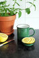 Cabanaz mažas dubenėlis arba arbatos puodelio dangtelis, žalias kaina ir informacija | Indai, lėkštės, pietų servizai | pigu.lt