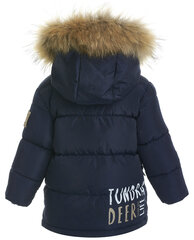Синяя зимняя куртка для мальчиков Gulliver цена и информация | Зимняя одежда для детей | pigu.lt
