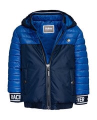 Синяя демисезонная куртка для мальчиков Gulliver цена и информация | Куртка для мальчика | pigu.lt