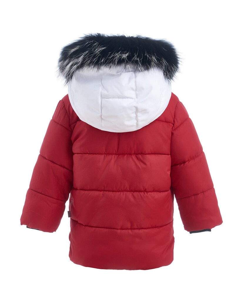 Žieminė striukė berniukams Gulliver, raudona kaina ir informacija | Žiemos drabužiai vaikams | pigu.lt
