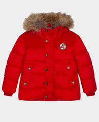 Красная куртка зимняя для мальчиков Gulliver цена и информация | Зимняя одежда для детей | pigu.lt