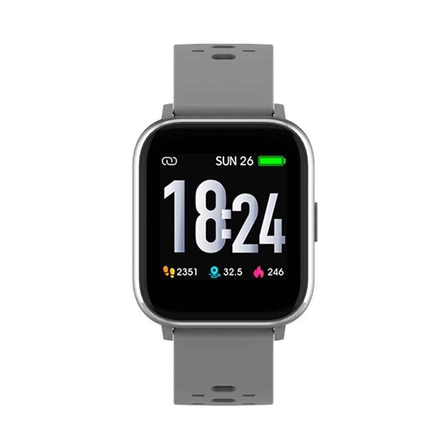 Denver SW-162 Grey цена и информация | Išmanieji laikrodžiai (smartwatch) | pigu.lt