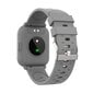 Denver SW-162 Grey kaina ir informacija | Išmanieji laikrodžiai (smartwatch) | pigu.lt