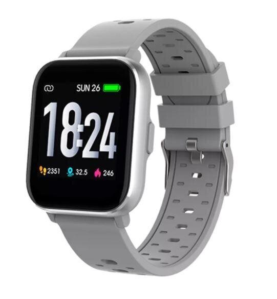 Denver SW-162 Grey цена и информация | Išmanieji laikrodžiai (smartwatch) | pigu.lt