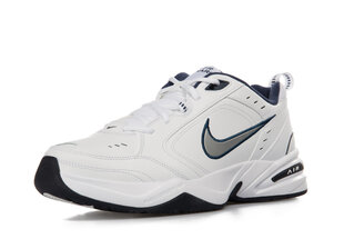 Sportiniai batai vyrams Nike 415445, balti kaina ir informacija | Kedai vyrams | pigu.lt