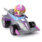 Automobilis Playset Bizak Deluxe Race & Go The Paw Patrol kaina ir informacija | Žaislai berniukams | pigu.lt