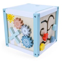 Обучающий деревянный куб - сортировщик Ecotoys цена и информация | Развивающие игрушки | pigu.lt