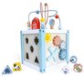 Edukacinis medinis kubas-rūšiuoklis Ecotoys kaina ir informacija | Lavinamieji žaislai | pigu.lt