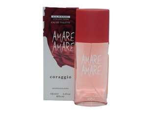 Tualetinis vanduo Homme Collection Amare Amare EDT moterims, 100 ml kaina ir informacija | Kvepalai moterims | pigu.lt