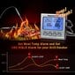 Skaitmeninis mėsos kepimo BBQ elektroninis termometras ThermoPro TP17 kaina ir informacija | Grilio, šašlykinių priedai ir aksesuarai  | pigu.lt