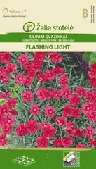 Гвоздика травянка Flashing light цена и информация | Семена цветов | pigu.lt
