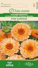 Kалендула лекарственная Pink Surprise цена и информация | Семена цветов | pigu.lt