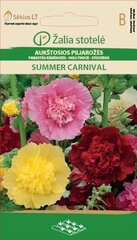 Шток розы Summer carnival цена и информация | Семена цветов | pigu.lt